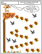 okul öncesi sıradaki sayı kaçtır bul çalışma sayfaları